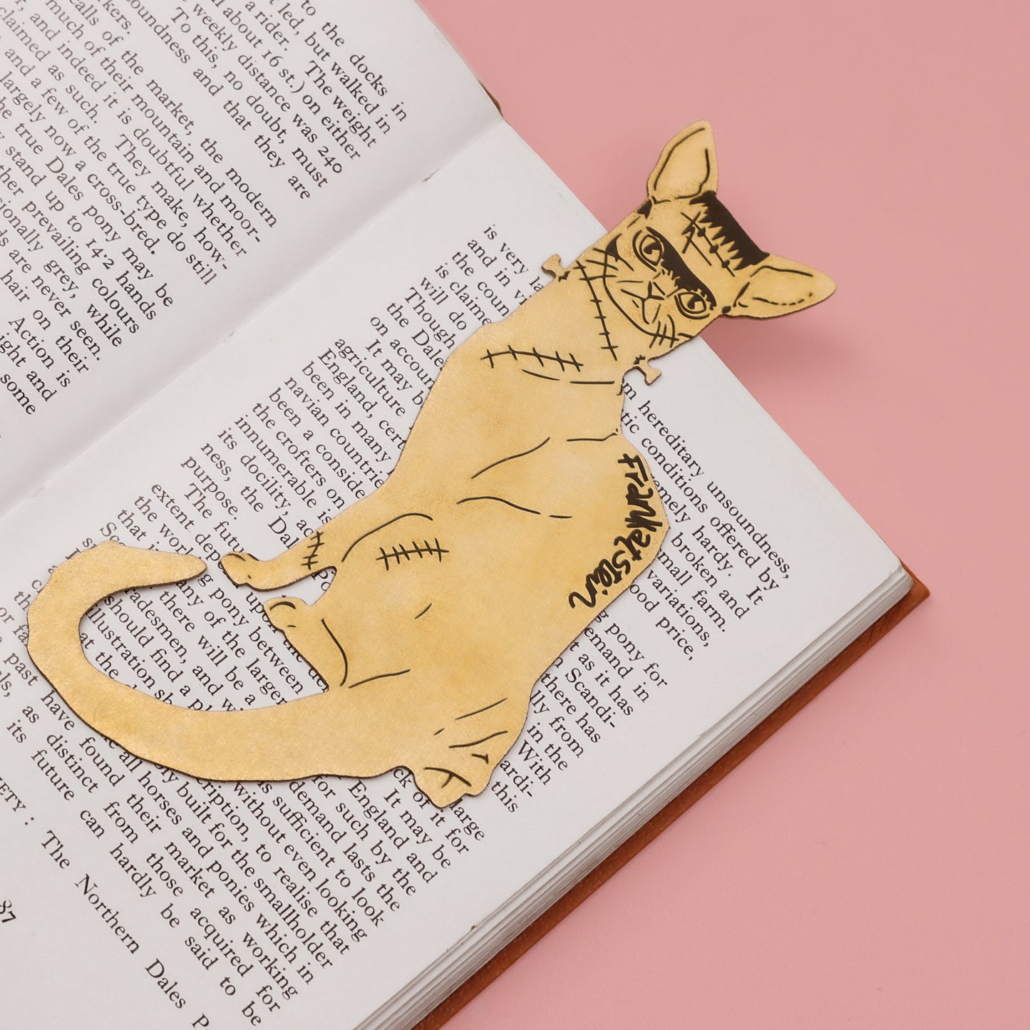 Frankatstein Literary Brass Bookmark | Gothic Literature Frankenstein Gift | Cat Gift | Fawn & Thistle
