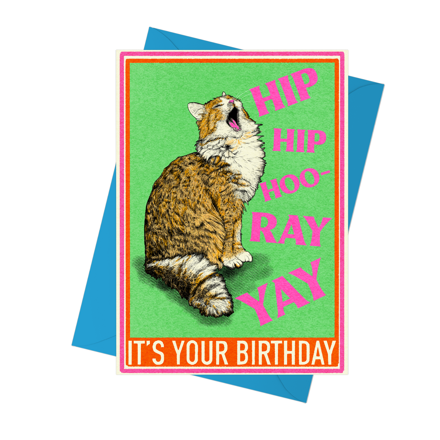 Hip Hip Hooray Cat Birthday Card by Fawn & Thistle