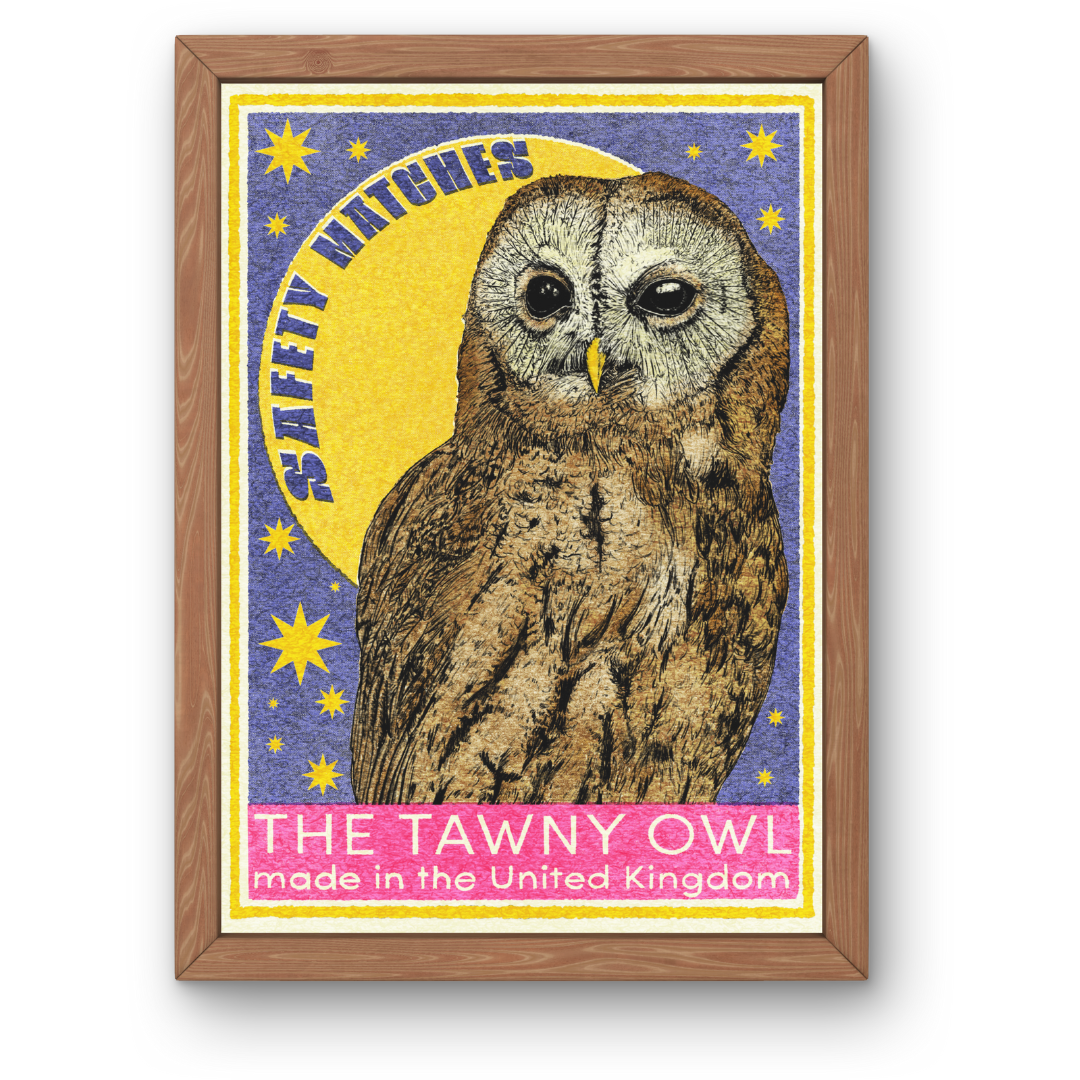 Tawny Owl safety matchyes art print by Fawn & Thistle | retro Art Print | tarot print