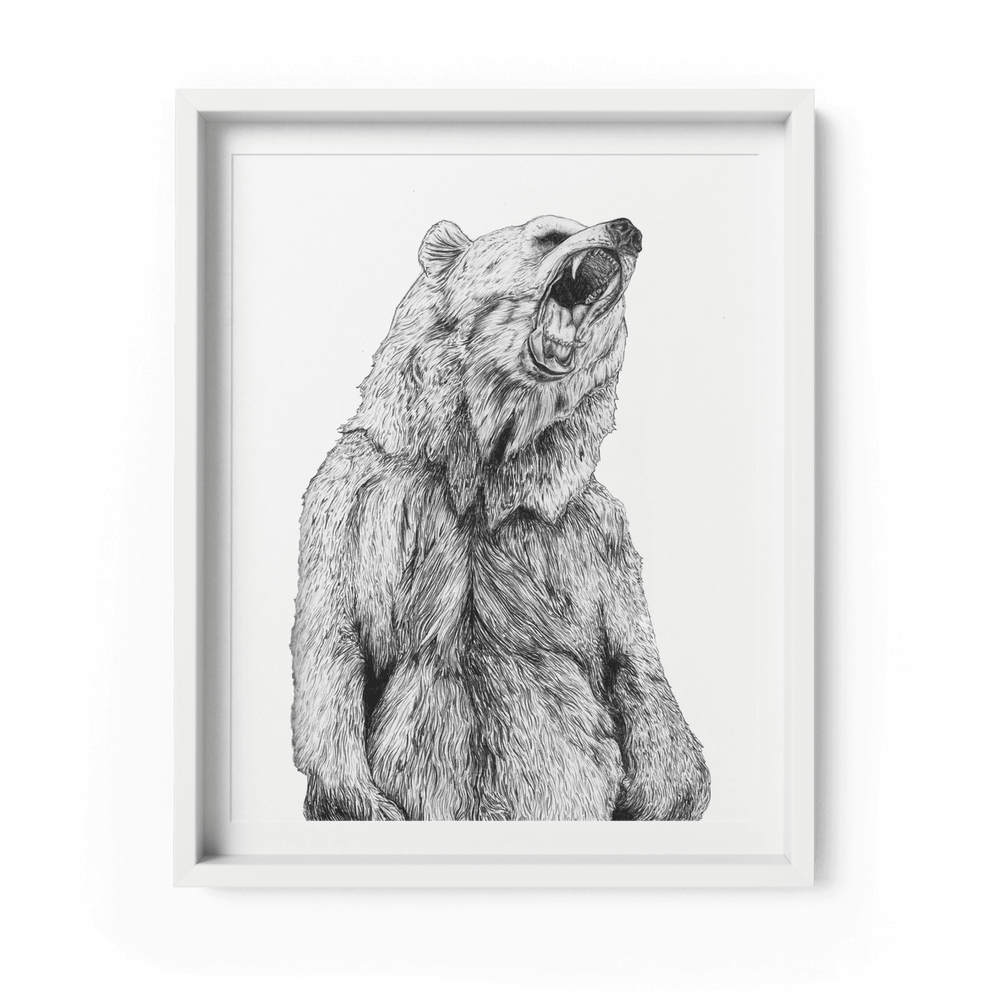 Grizzly Bear A4 Art Print - Fawn and Thistle
