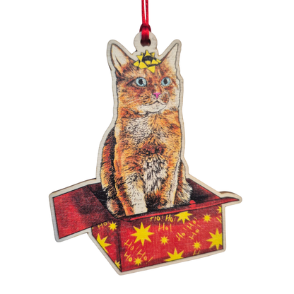 Cat in a Box Wooden Christmas Decoration