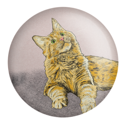 Cute Ginger Cat Pocket Mirror | Fawn & Thistle | Compact | Make Up Mirror