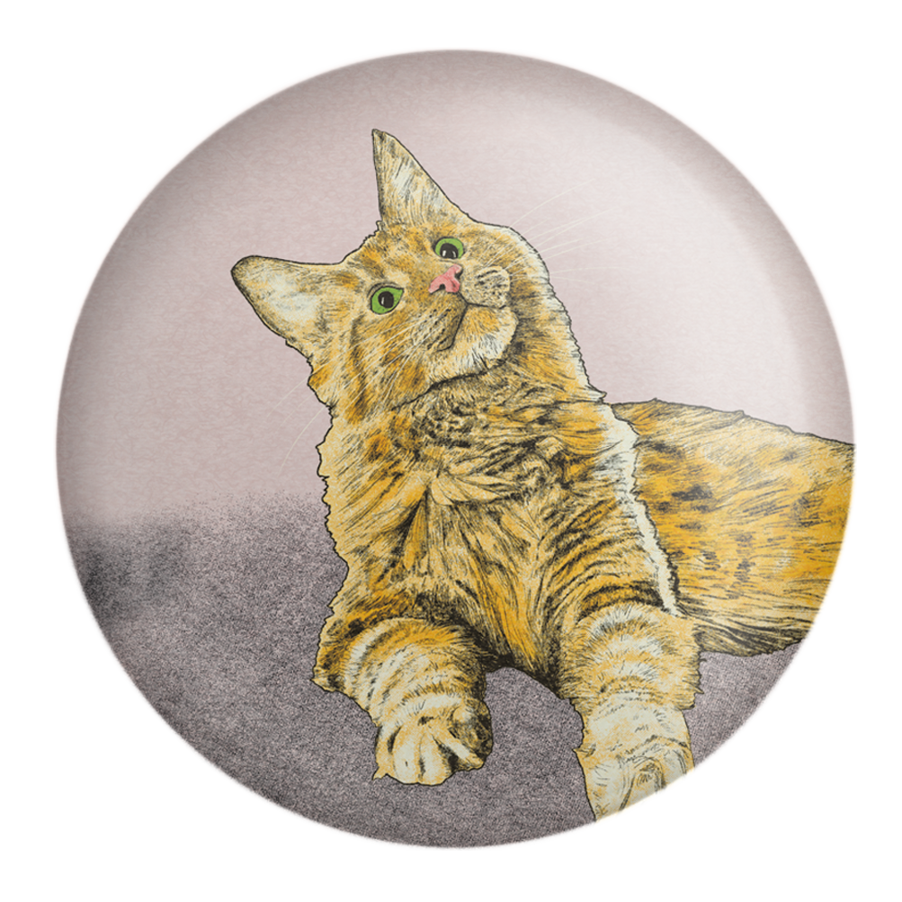 Cute Ginger Cat Pocket Mirror | Fawn & Thistle | Compact | Make Up Mirror