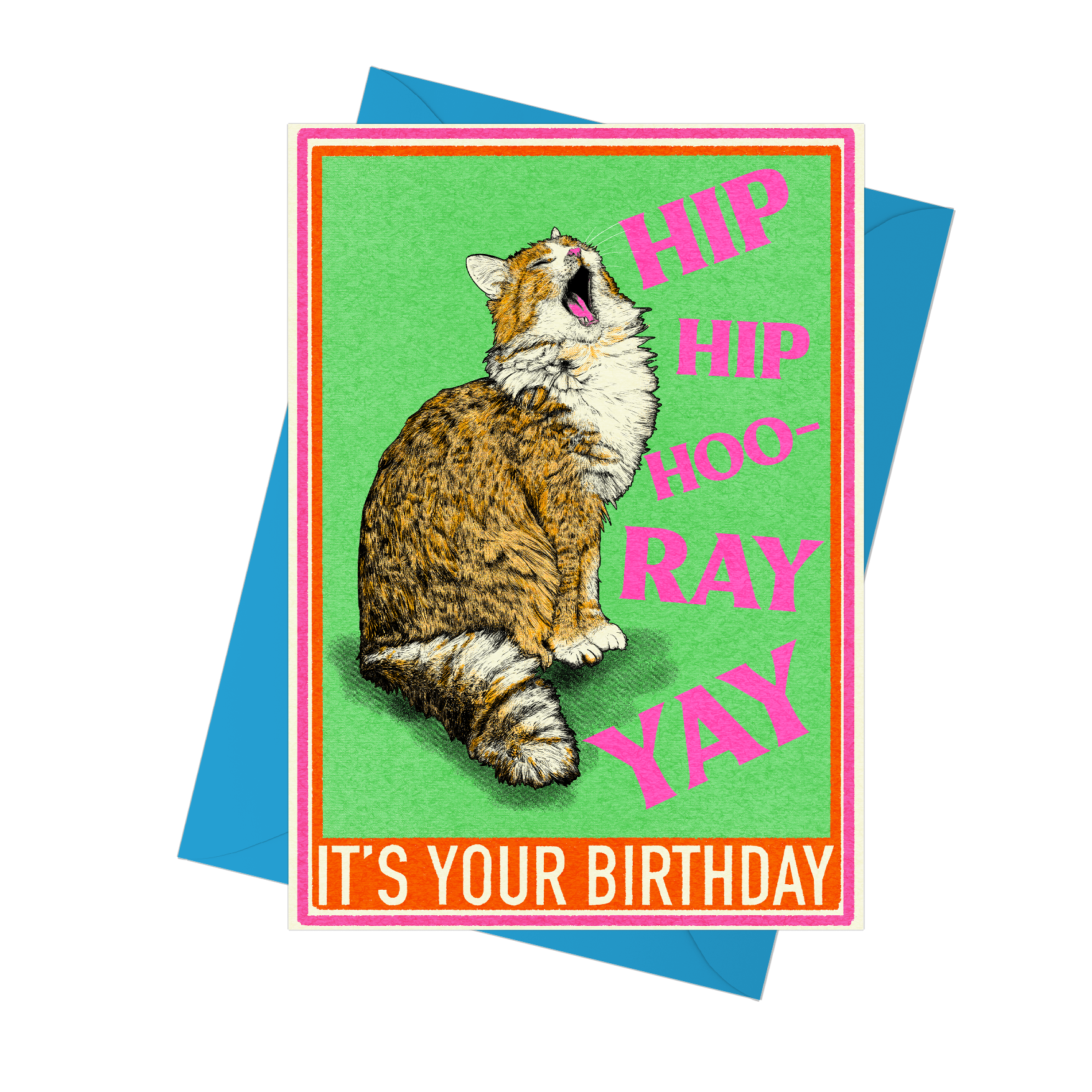 Hip Hip Hooray Cat Birthday Card by Fawn & Thistle