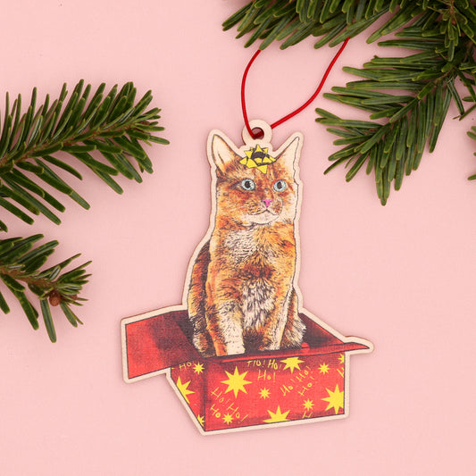 Cat in a Box Wooden Christmas Decoration