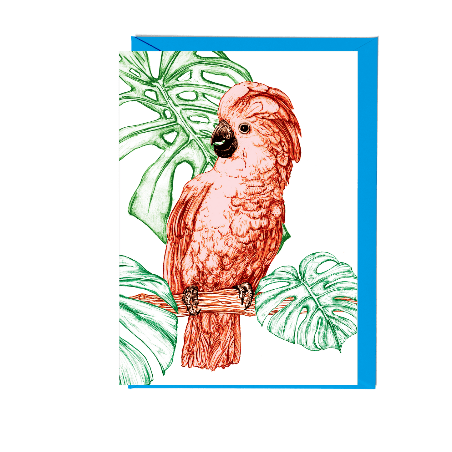 Cockatoo Greeting Card - Fawn and Thistle