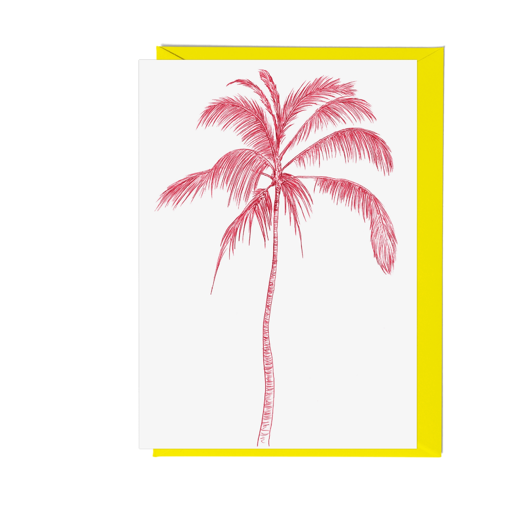 Tropicana Palm Tree Greeting Card - Fawn and Thistle